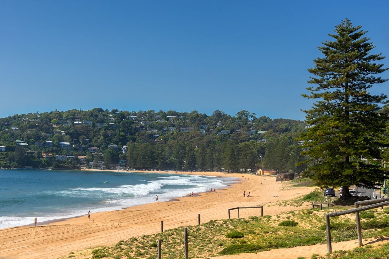 Northern Beaches . Image -5847608f570ad